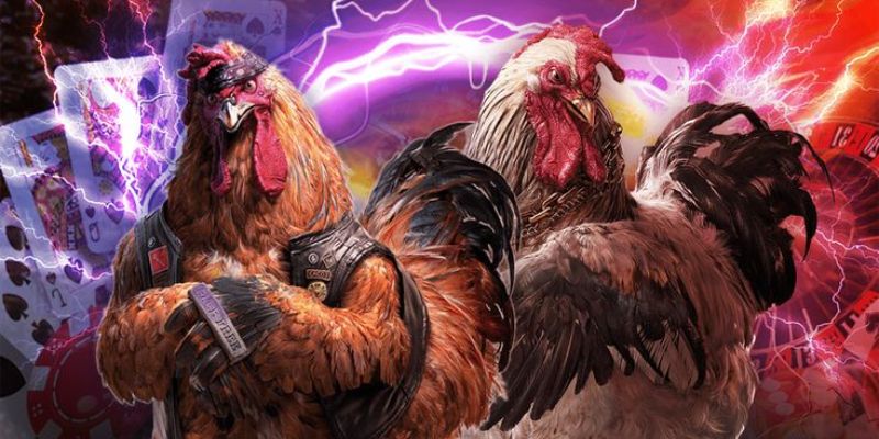 Tỷ lệ ổn định và trả thưởng cao