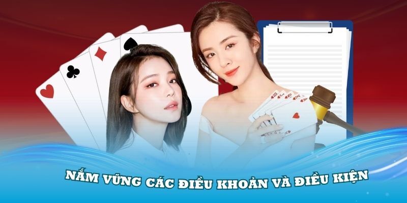 Điểm danh những nguyên tắc chung trong điều khoản điều kiện
