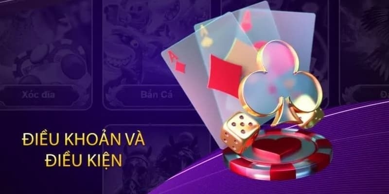 Lưu ý thành viên cần nắm vững trong điều khoản
