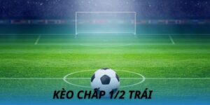Kèo Chấp 1/2 Trái Oppa888 - Thắng Lớn Với Bí Kíp Từ Cao Thủ