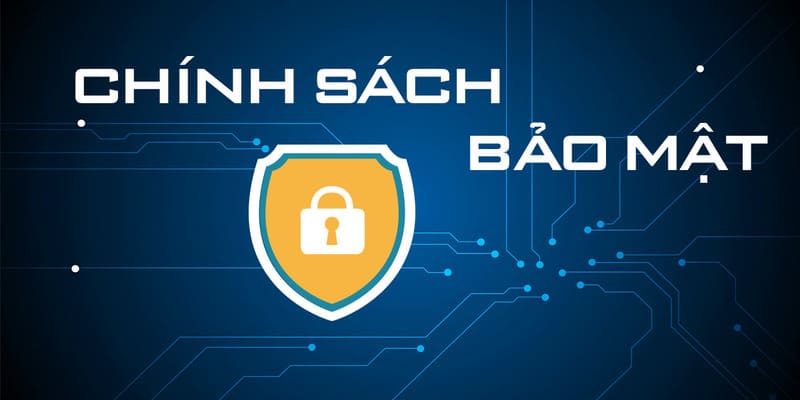 Nội dung được quy định trong chính bảo mật của nền tảng